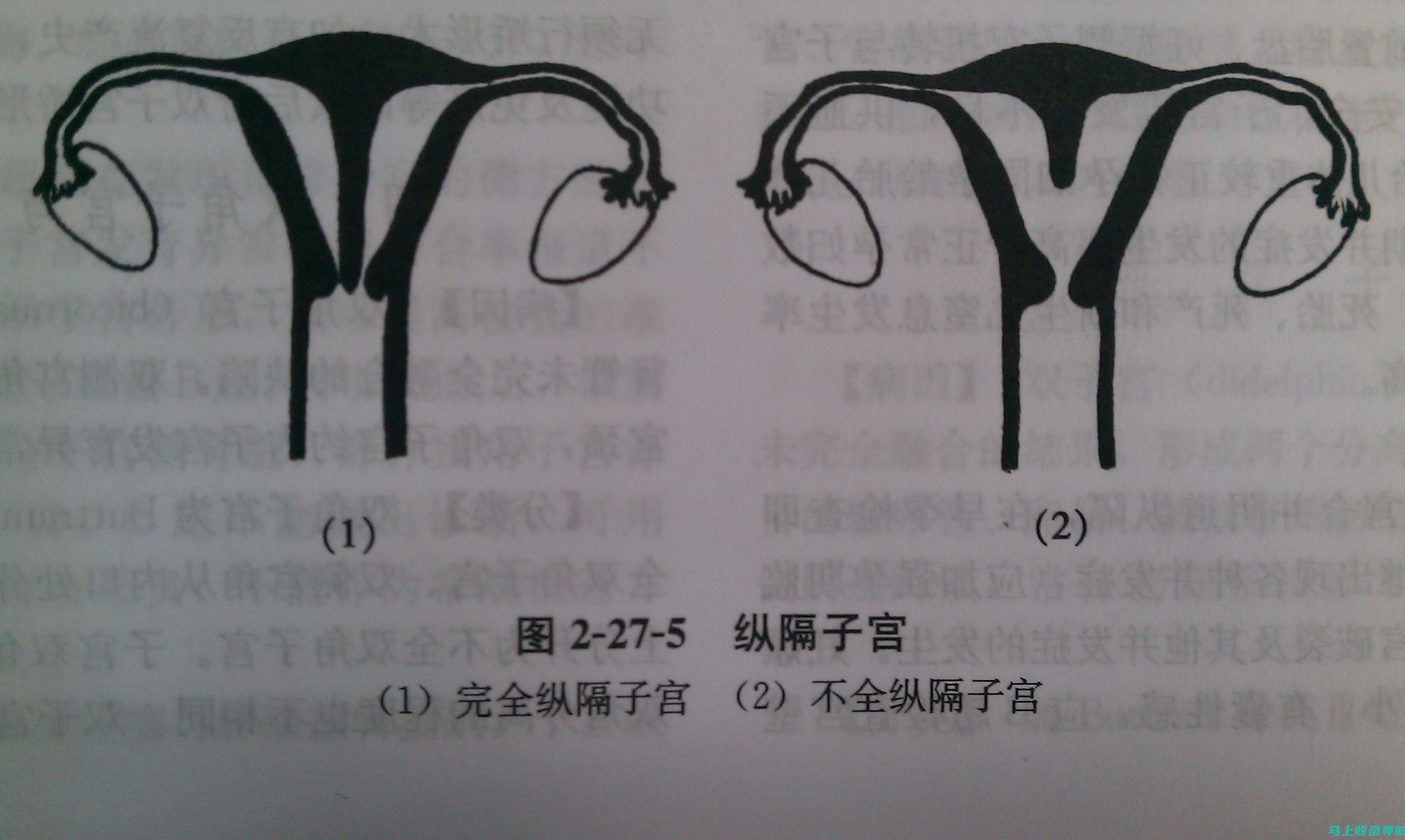 完全解析：从入门到精通的网站SEO优化教程